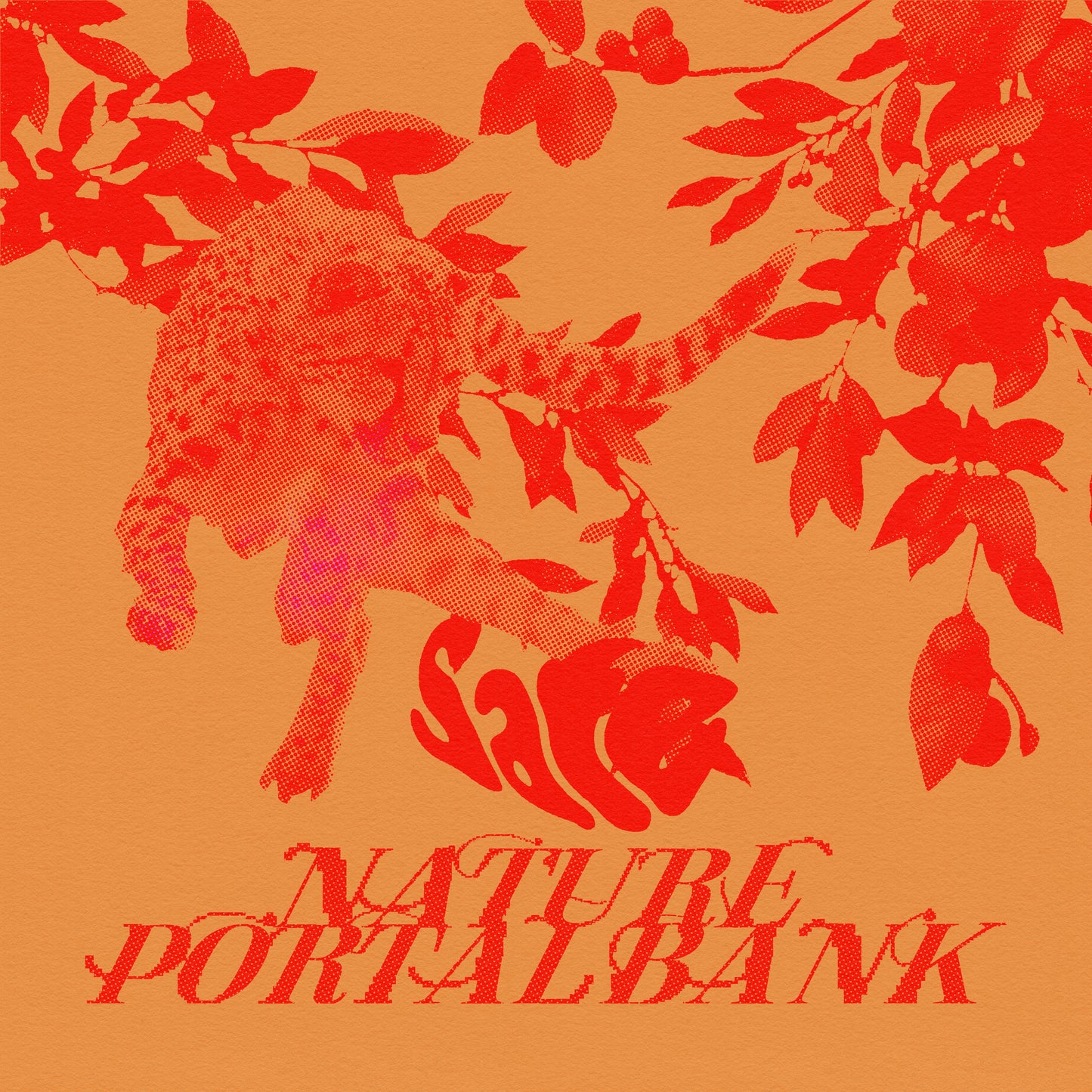 Nature Portal Bank