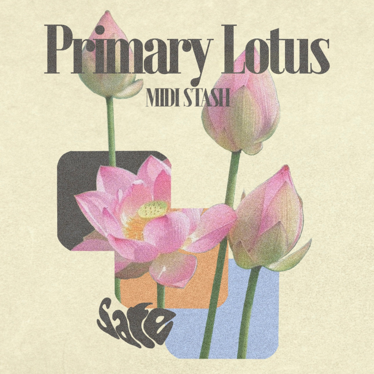 Primary Lotus Midi Stash